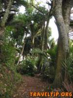New Zealand - West Coast - The Heaphy Track