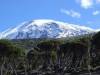 Tanzania - Kilimanjaro- Conservation of Mount Kilimanjaro Environment