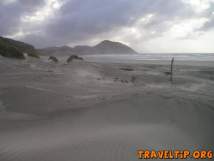 New Zealand - Nelson - Wharariki beach